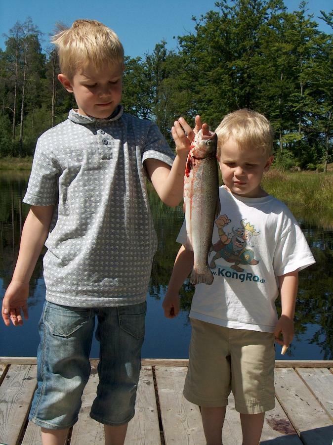 Torne Camping - Kano&Fiskecamp Grimslov Eksteriør billede